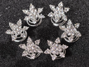 Spiral Bun Pins