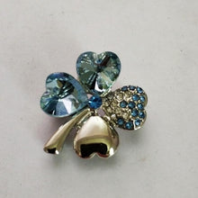 Load image into Gallery viewer, Lucky Charm Pin

