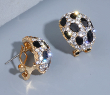 Load image into Gallery viewer, Black Beatle Earrings
